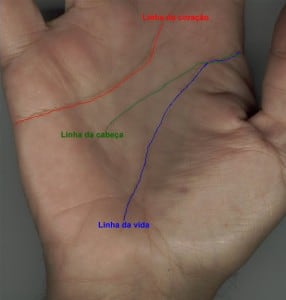 Linhas principais para leitura das mãos