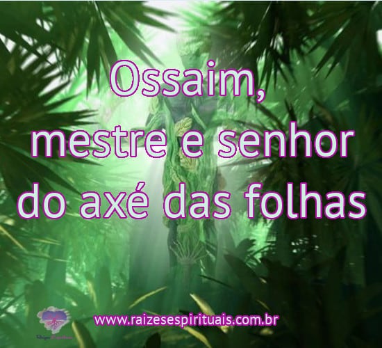 Ossaim, mestre e senhor do axé das folhas