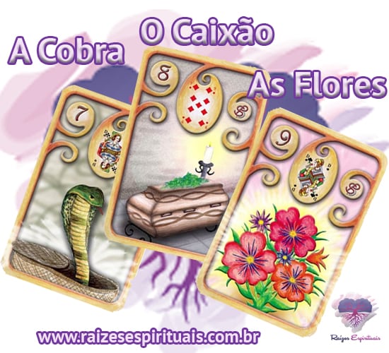 A Cobra - O Caixão - As Flores