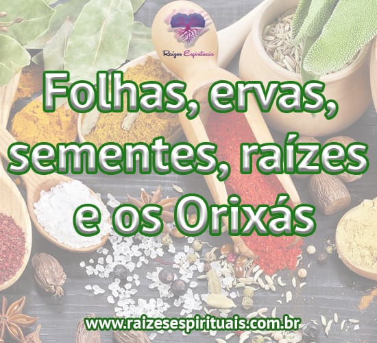 Folhas, ervas, sementes, raízes e os Orixás