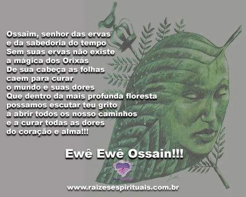 Ossaim - Ossanha: Orixá curandeiro das ervas! • Guia da Alma in 2023