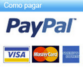 Paypal-large