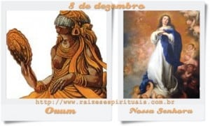 Homenagem em 8 de dezembro