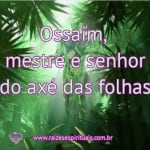 Ossaim, mestre e senhor do axé das folhas