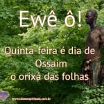 Ossaim – o orixá das folhas