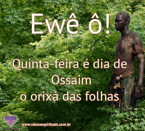 Ewê ô! Quinta-feira é dia de Ossaim, o orixá das folhas.