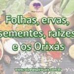 Folhas, ervas, sementes, raízes e os Orixás