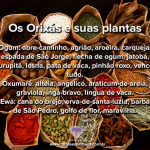 Os Orixás e suas plantas