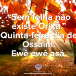 Quinta-feira dia de Ossaim