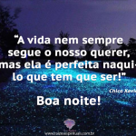 A vida é perfeita
