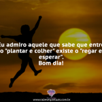 Entre o “plantar e colher”