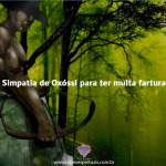 Simpatia de Oxóssi para ter muita fartura