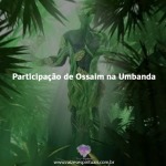 Participação de Ossaim na Umbanda