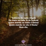 Caboclo da mata virgem