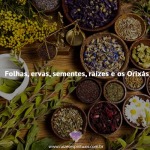 Folhas, ervas e os Orixás