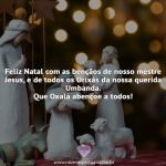 Feliz natal com