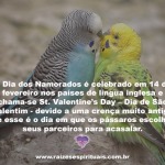 Dia de São Valentim