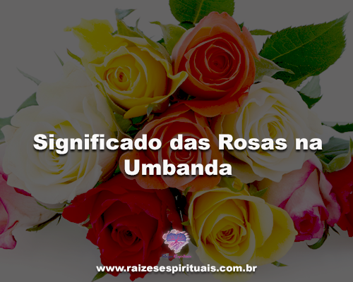 O significado das Rosas na Umbanda