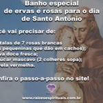 Banho especial de ervas e rosas para o dia de Santo Antônio
