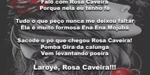 sacode o pó que chegou rosa caveira 💀🌹 #rosacaveira