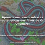 Aprenda um pouco sobre as características dos filhos do Orixá Oxumarê!