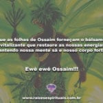 Que as folhas de Ossaim forneçam o bálsamo revitalizante!