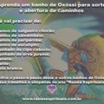 Aprenda um banho de Oxóssi para sorte e abertura de caminhos