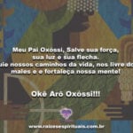 Meu Pai Oxóssi, Salve sua força, sua luz e sua flecha….