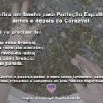 Confira um banho para Proteção Espiritual antes e depois do Carnaval