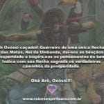 Oh Oxóssi caçador! Guerreiro de uma única flecha! Okê Arô, Oxóssi!!!