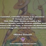 Caminhei, caminhei na mata e eu encontrei. Okê Arô Oxóssi!!!