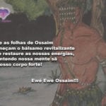 Que as folhas de Ossaim forneçam o bálsamo revitalizante! Ewê Ewê!!!