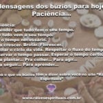 Mensagens dos búzios para hoje: Paciência…
