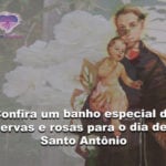 Confira um banho especial de ervas e rosas para o dia de Santo Antônio