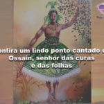 Confira um lindo ponto cantado de Ossain, senhor das curas e das folhas