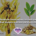 Simpatia de Oxum na Lua crescente para atrair dinheiro e sucesso para sua vida
