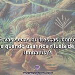 Ervas secas ou frescas: como e quando usar nos rituais de Umbanda?