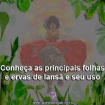 Conheça as principais folhas e ervas de Iansã e seu uso