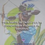 Forte banho de Oxóssi para ter prosperidade e abertura de caminhos!