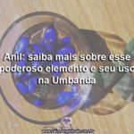 Anil: saiba mais sobre esse poderoso elemento e seu uso na Umbanda