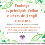 Conheça as principais folhas e ervas de Xangô e seu uso