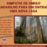 Simpatia de Omulú Andarilho para encontrar uma nova casa