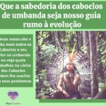 Que a sabedoria dos caboclos de umbanda seja nosso guia até a evolução