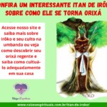 Confira um interessante itan de Irôko sobre como ele se torna Orixá