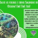 Salve as folhas e ervas Sagradas de Ossaim. Ewê Ewê Asà!