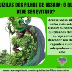 Quizilas dos filhos de Ossaim: o que deve ser evitado?