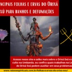 Principais folhas e ervas do Orixá Exú para banhos e defumações