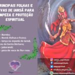 Principais folhas e ervas de Iansã para limpeza e proteção espiritual