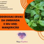 Manjericão – uma das mais poderosas e mais usadas ervas da umbanda