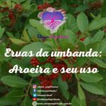 Saiba mais sobre as ervas da umbanda e seu uso: aroeira